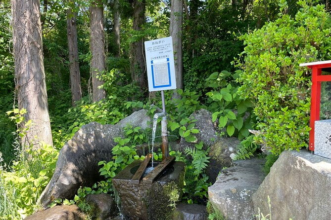 Snow Monkey & Shibu Onsen Private Tour (Nagano, Nozawa, Myoko) - Key Points