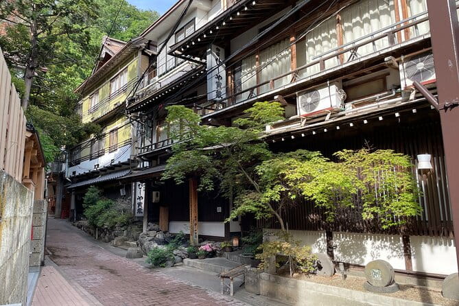 Snow Monkey & Shibu Onsen Private Tour (Nagano, Nozawa, Myoko) - Exploring the Monkey Park Experience