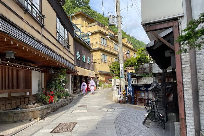 Snow Monkey & Shibu Onsen Private Tour (Nagano, Nozawa, Myoko) - Tips for an Enjoyable Tour