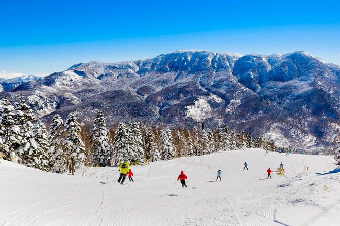 Snow Monkey, Zenko Ji Temple, Sake in Nagano Tour - Customer Feedback and Experiences