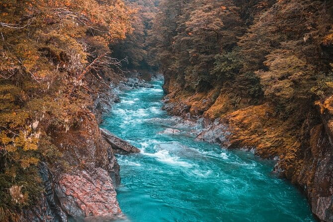 Snow Monkey, Zenko Ji Temple, Sake in Nagano Tour - Exploring the Snow Monkey Park