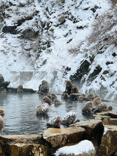 Snow Monkeys Zenkoji Temple One Day Private Sightseeing Tour - Recommended Itinerary
