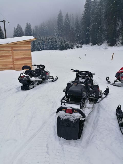 Snowmobile, ATV or Buggy Tour from Bucharest - ATV and Buggy Adventures (All Year)