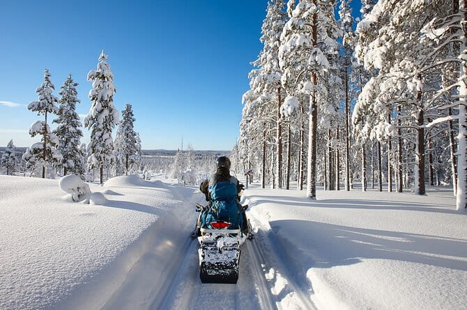 Snowmobile Safari 2h - In-Depth Review: Riding the Arctic in Rovaniemi