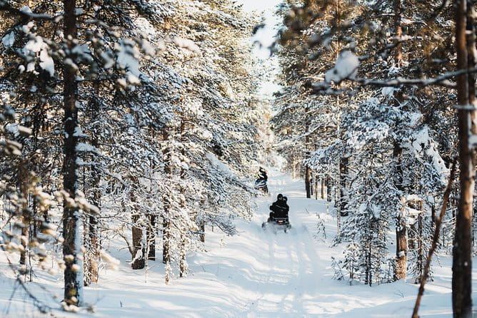 Snowmobile Safari into the Arctic Circle Forest - Value for Money