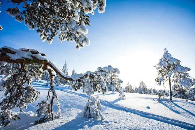 Snowmobile Safari on the Tundra - Practical Details and Tips