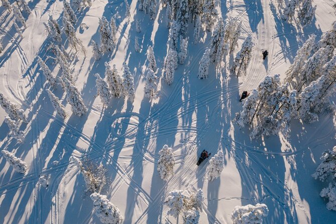 Snowmobile Safari Through Lappish Forest From Rovaniemi - Included in the Experience