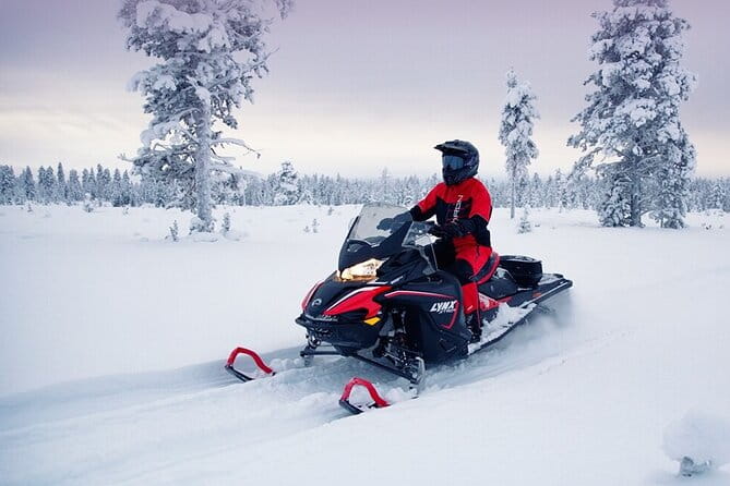 Snowmobile Tour with Small Group in Remote Wilderness 3 Hours - How the Tour Unfolds: A Closer Look