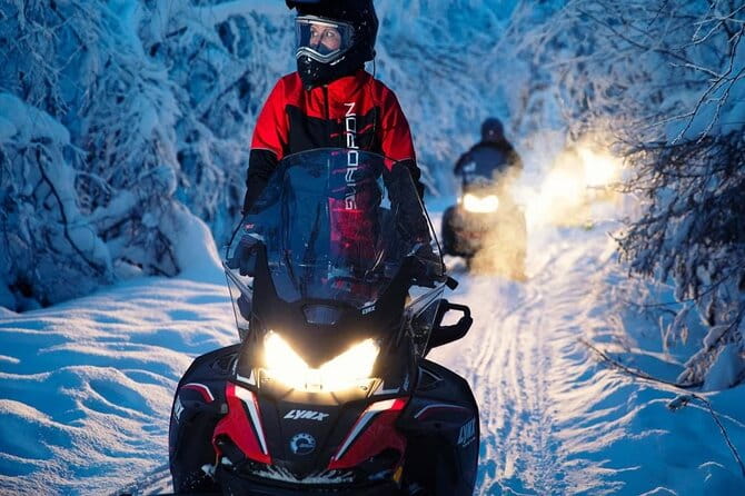 Snowmobile Tour with Small Group in Remote Wilderness 3 Hours - Who Will Love This Experience?