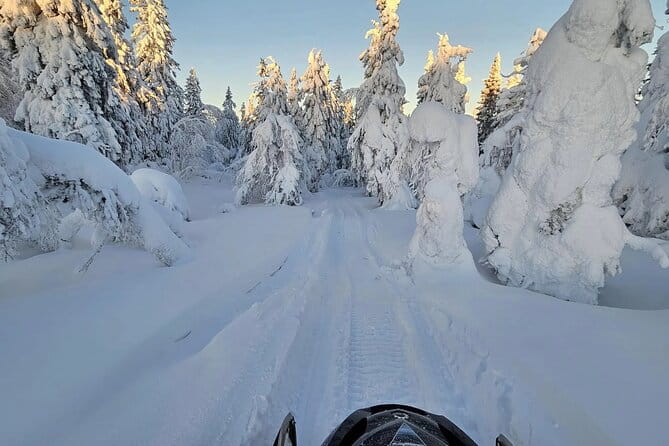 Snowmobile Tour with Small Group in Remote Wilderness 3 Hours - The Sum Up: Is It Worth It?