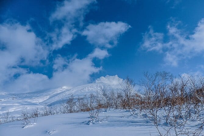 Snowshoe Adventures and Onsen Bliss Winter Escape in Furano - Key Points