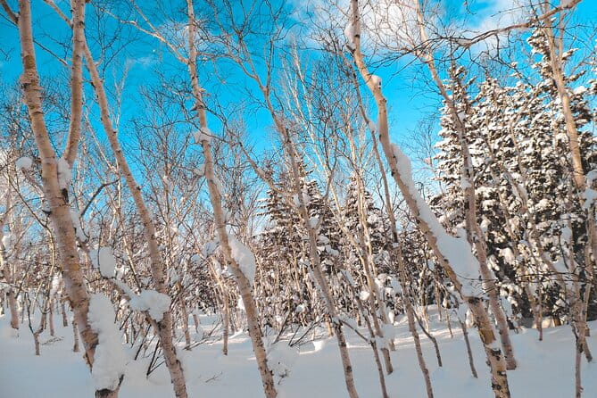 Snowshoe Adventures and Onsen Bliss Winter Escape in Furano - Frequently Asked Questions