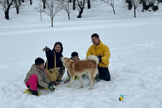 Snowshoe Experience in Akita Yuzawa Winter Park With an Akita Dog - Key Points