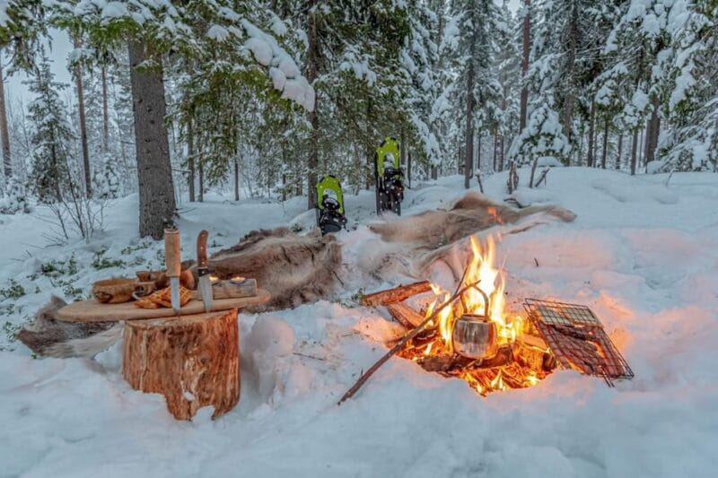 Snowshoe experience with traditional beverages in Lapland - Included and Not Included: What You Gain and What You Miss