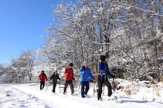 Snowshoe Hike Tour From Sapporo - Tour Inclusions and Pricing