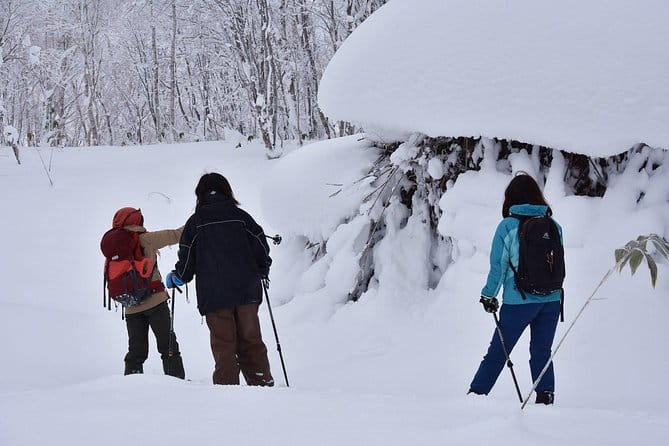 Snowshoe Hike Tour From Sapporo - Tour Highlights for Beginners