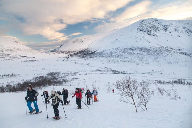 Snowshoe Hill Hike in Tromsø - Key Points
