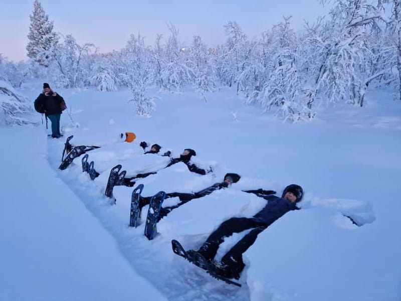 Snowshoe in a Winter Forest - Entering the Magic of the Arctic Forest