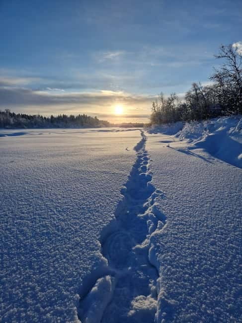Snowshoe in a Winter Forest - Logistics and Practicalities