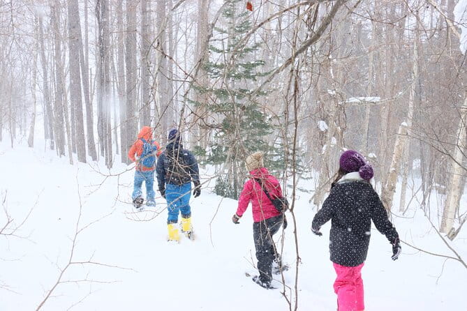 Snowshoe Tours in Niseko Explore Beautiful Snowscapes Adventure - Meeting and Pickup Details