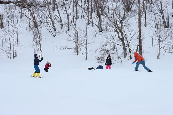 Snowshoe Tours in Niseko Explore Beautiful Snowscapes Adventure - Exploring Nisekos Snowy Landscapes