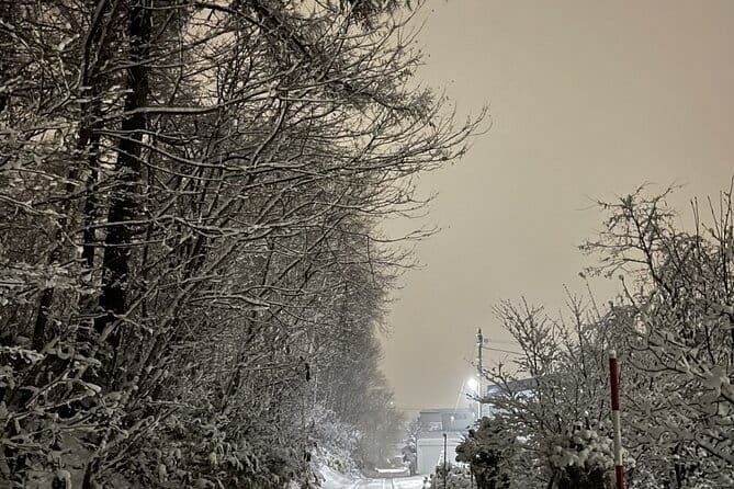 Snowshoeing and Onsen Adventures in a Winter Wonderland -Sapporo. - Participant Experience and Suitability