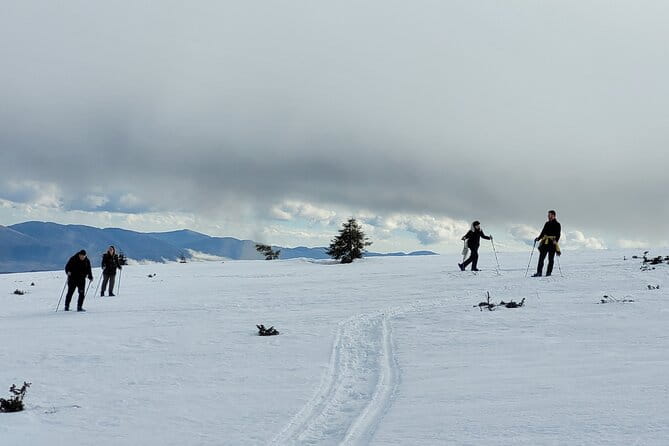 Snowshoeing Fun Tour from Cluj Napoca - Practicalities: Pricing, Logistics, and Suitability