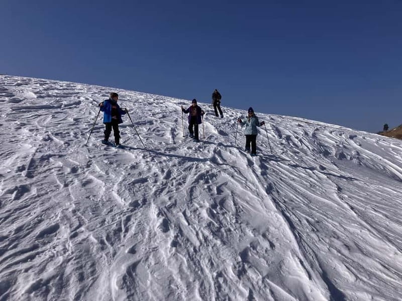 Snowshoeing in Bakuriani, Caucasus Mountains - FAQs
