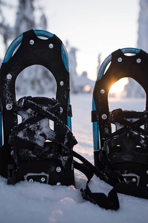 Snowshoeing in the Arctic Wilderness - Entering The Snowy Wilderness: What You Can Expect