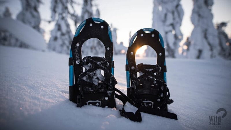 Snowshoeing in the Arctic Wilderness - FAQ