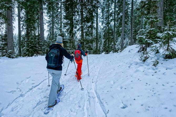 Snowshoeing in Triglav national park - Key points / Takeaways