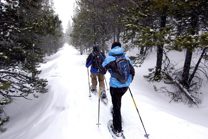 Snowshoeing Tour in Jacques-Cartier National Park - Overview of the Tour