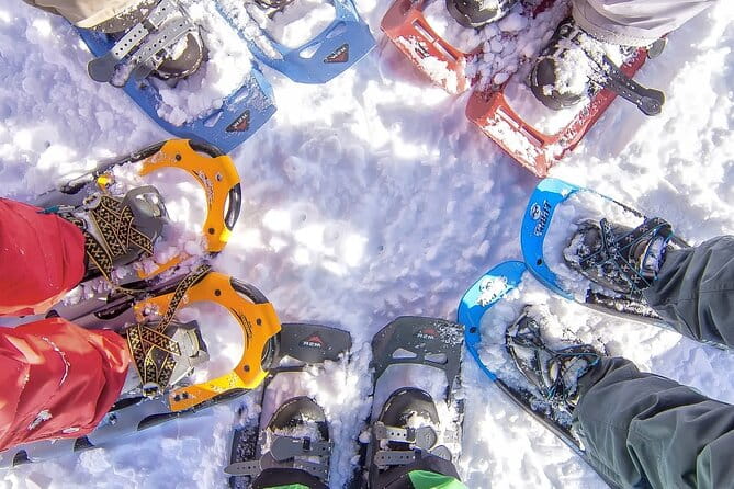 Snowshoeing tour with Wild Lunch - Key points / Takeaways