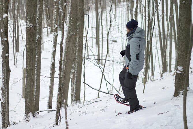 Snowshoeing tour with Wild Lunch - Analyzing the Value: Is It Worth It?