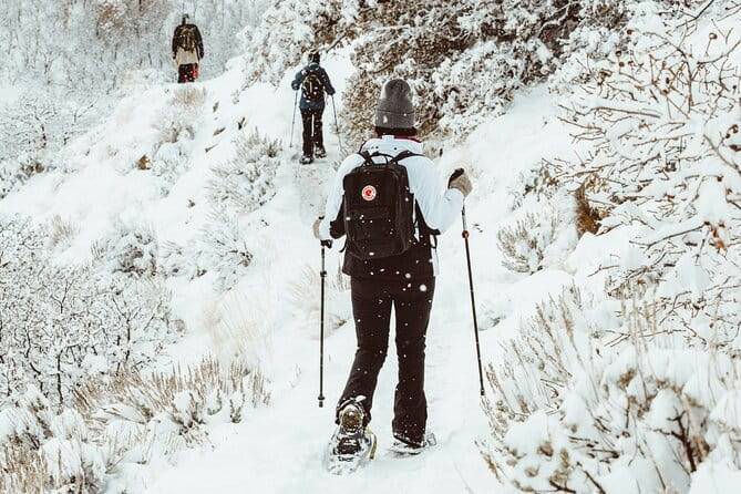 Snowshoeing tour with Wild Lunch - Price and Logistics: How It Fits into Your Trip