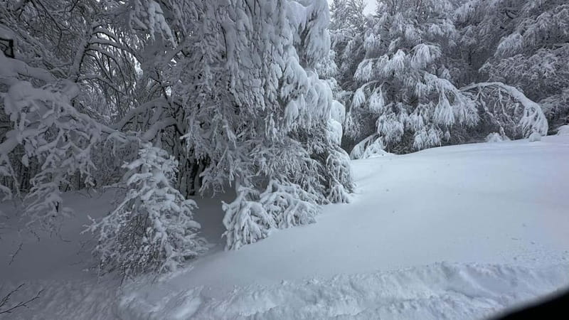 SNOWSHOES - Snowshoes in Nouvelle-Aquitaine: A Unique Winter Adventure