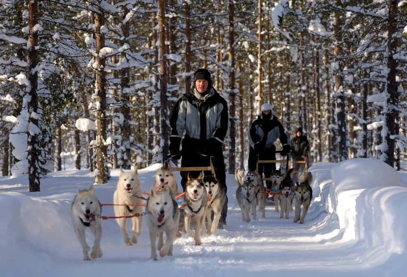 Snowy Trails Husky Safari (5 Km) - FAQs