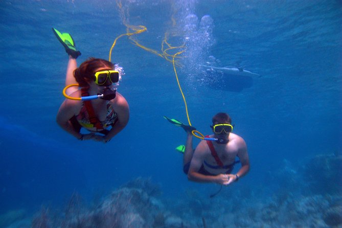 Snuba Adventure at Coral World Ocean Park - Snuba Tour Highlights