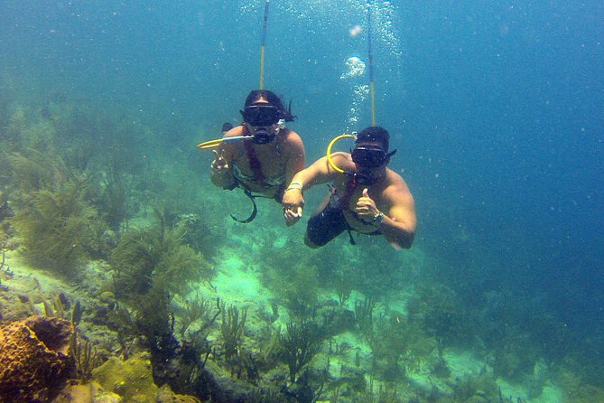 Snuba Adventure at Coral World Ocean Park - Group Size Limit