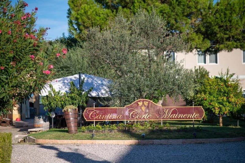 Soave: Wine Tasting and Vineyard Tour in Historical Centre - Food and drink: Enhancing the experience