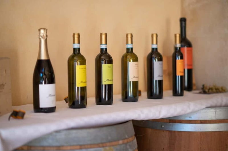 Soave: Wine Tasting and Vineyard Tour in Historical Centre - Who should consider this tour?