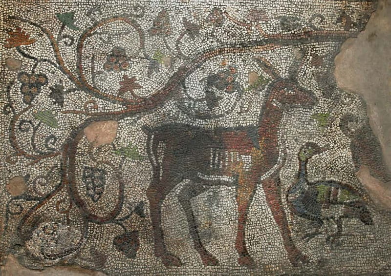 Sofia: Augusta Trayana - From Neolithic to Modern Times Tour - Who Will Love This Tour?