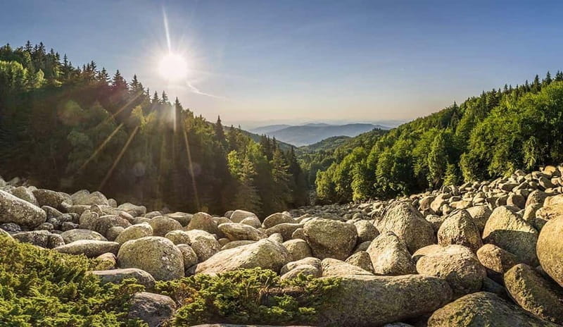 Sofia from the Top and Alexander Nevski Cathedral - A Detailed Look at the Experience