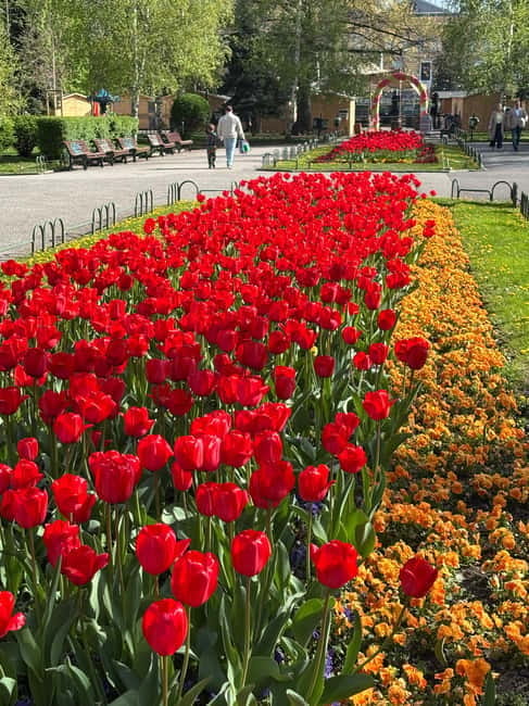 Sofia: Live Guided Tour with Headphones - The Architectural Political Triangle