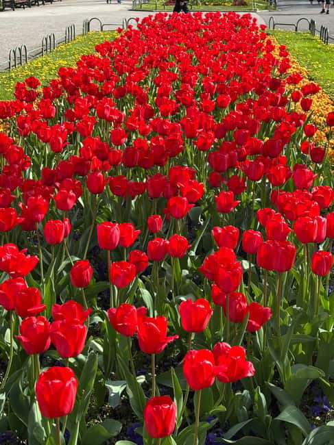 Sofia: Live Guided Tour with Headphones - A Climb to Sofia’s Religious Landmarks