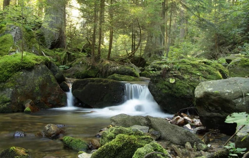 Sofia: Lovech, Devetaki Cave and Krushuna Waterfalls Tour - Exploring Bulgaria’s Hidden Gems: Lovech, Devetashka Cave & Krushuna Waterfalls