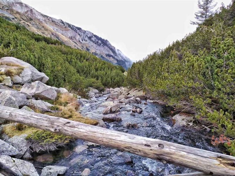 Sofia: Pirin National Park Hike & Bansko Visit - Key Points / Takeaways