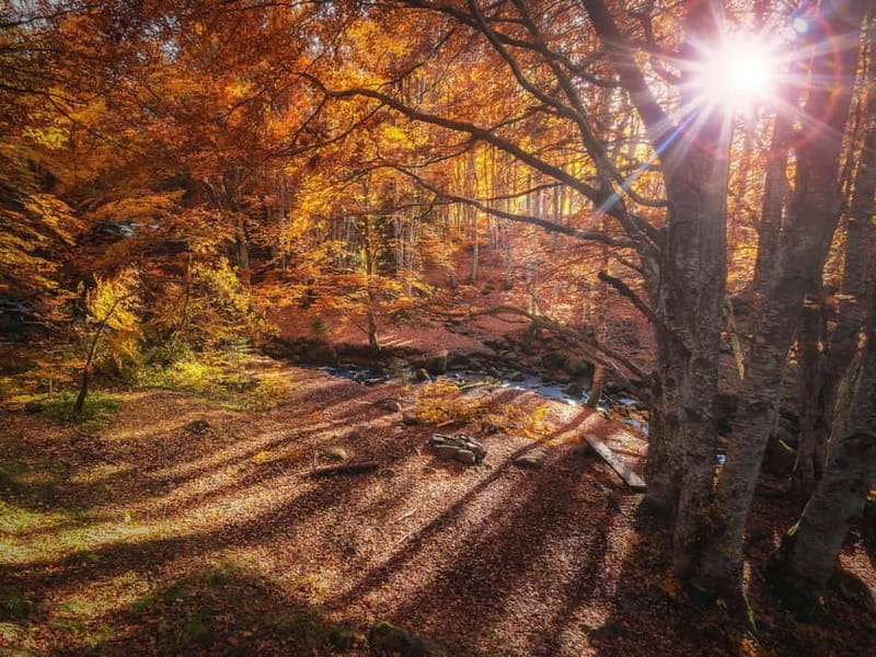 Sofia: Walk and Hike in Vitosha Mountain and Pancharevo Lake - Key points / Takeaways