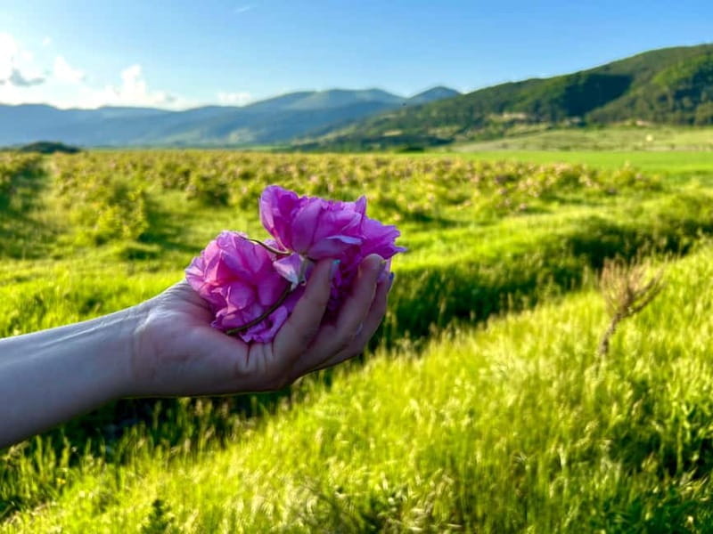 Sofia:The Highlights of Bulgaria - Rose Valley and Buzludzha - Final Thoughts on the Bulgaria Highlights Tour