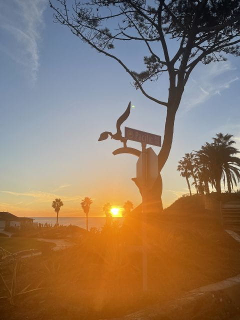 Solana Beach: Surfboard Rentals - Relaxation Opportunities